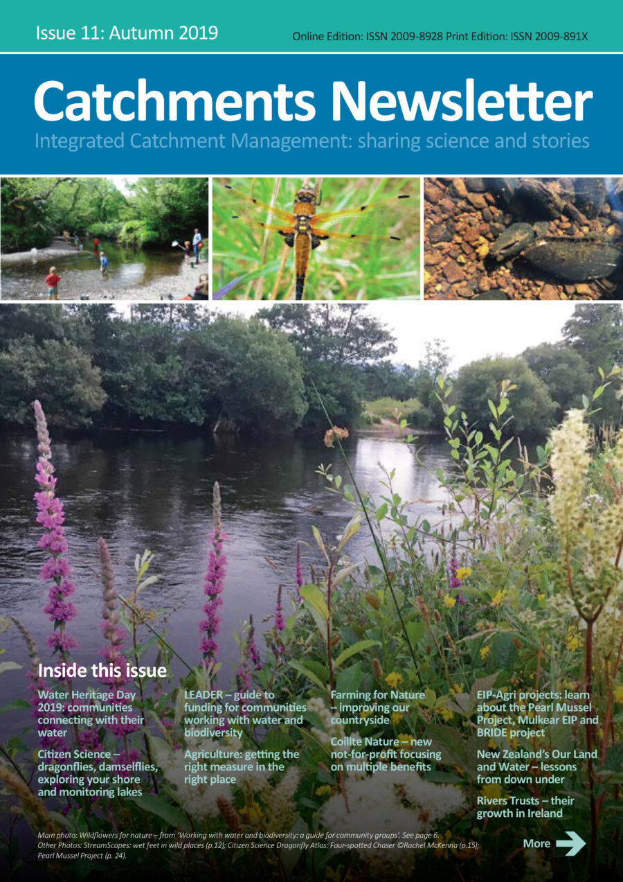 Catchments Newsletter - sharing science and stories. Autumn 2019.