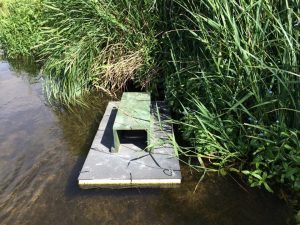 GWCT Mink Raft